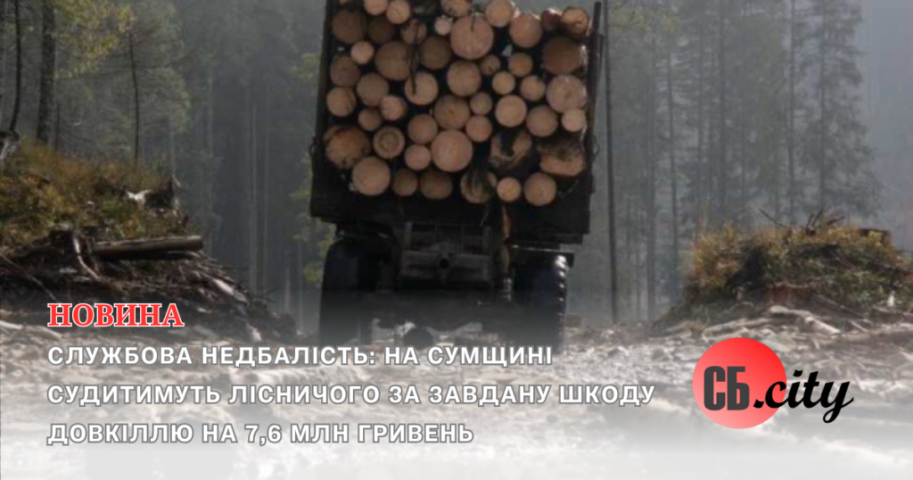 Службова недбалість: На Сумщині судитимуть лісничого за завдану шкоду довкіллю на 7,6 млн гривень