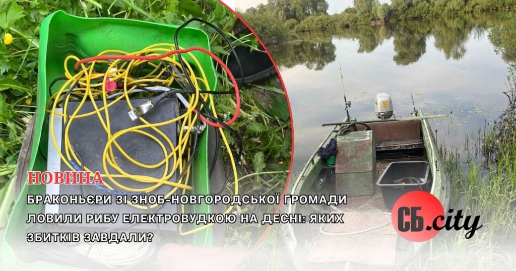Браконьєри зі Зноб-Новгородської громади ловили рибу електровудкою на Десні: яких збитків завдали?