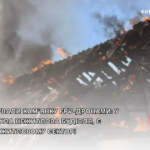 Росіяни атакували Кам’янку FPV-дронами: у селі спалахнула нежитлова будівля, є руйнування у житловому секторі