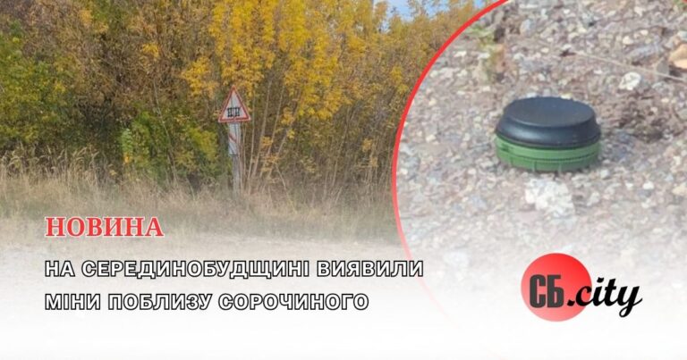 На Серединобудщині виявили міни поблизу Сорочиного